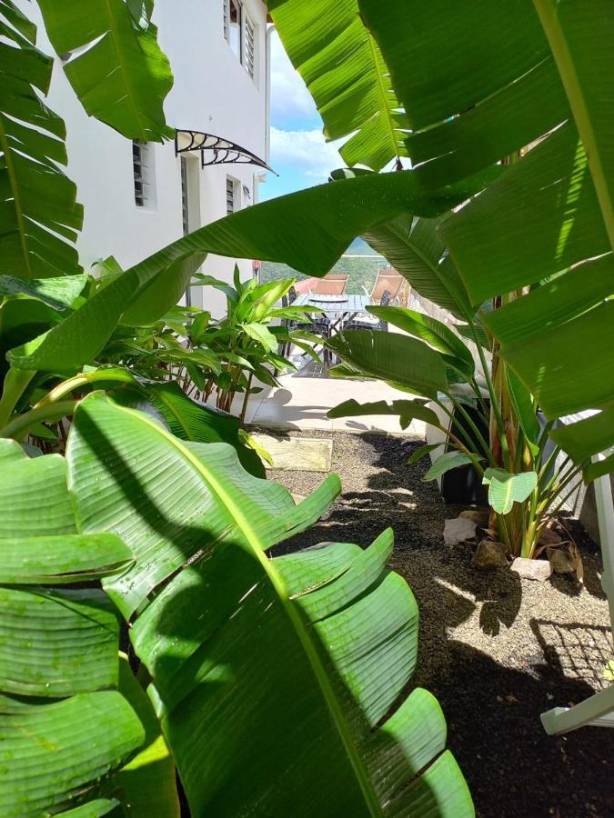 Le Damour Appartement 1 Ou 2 Chambres Les Anses-d'Arlets Exterior foto